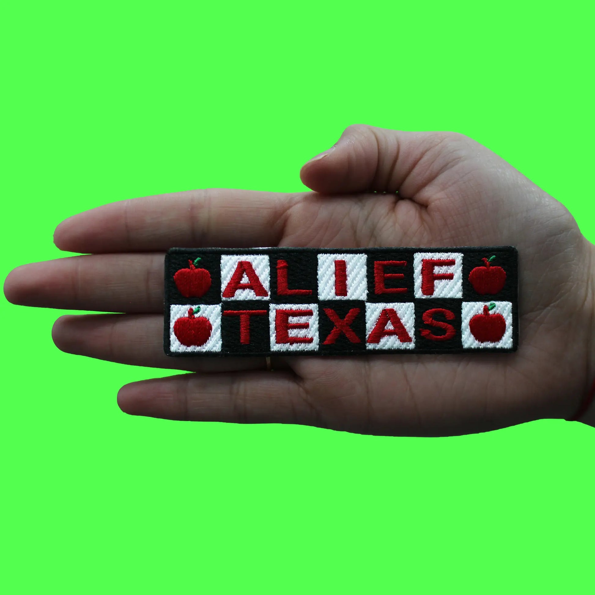 Alief Texas Cartoon Logo Patch TV Show Network Embroidered Iron On