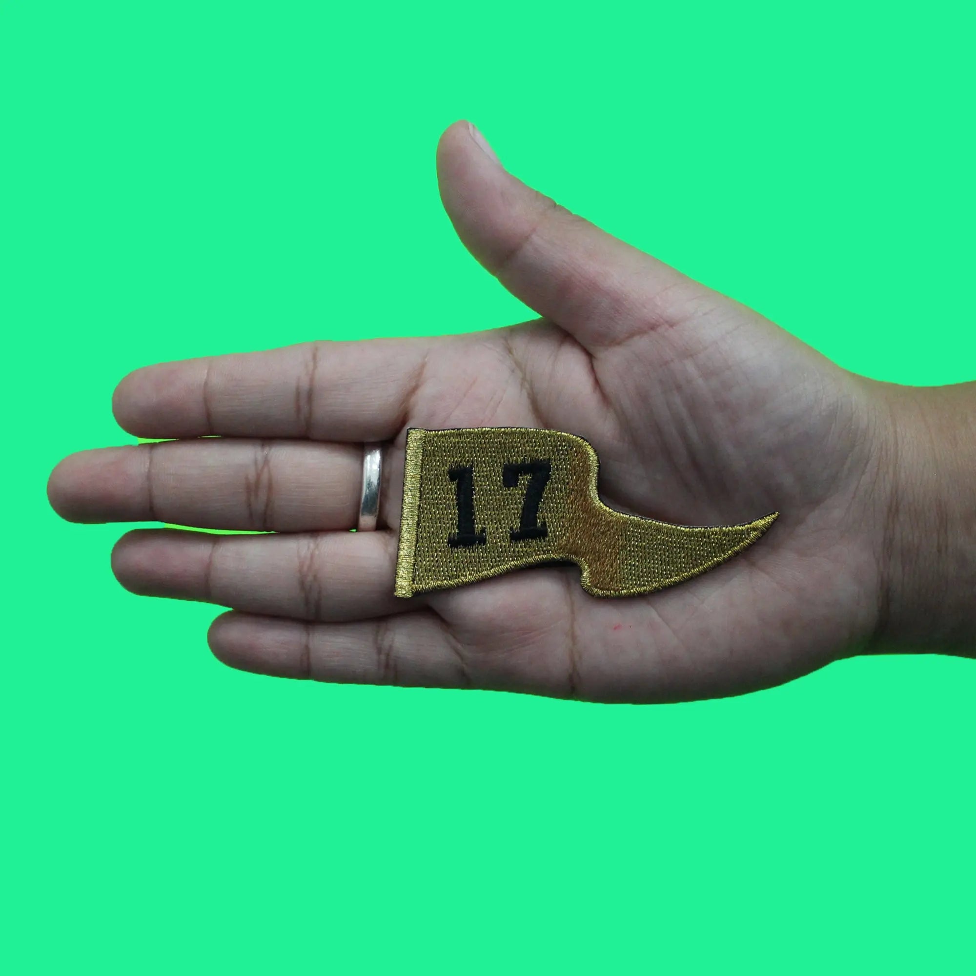 Houston Baseball 2017 Champs Pennant Patch Space City Texas Embroidered Iron On