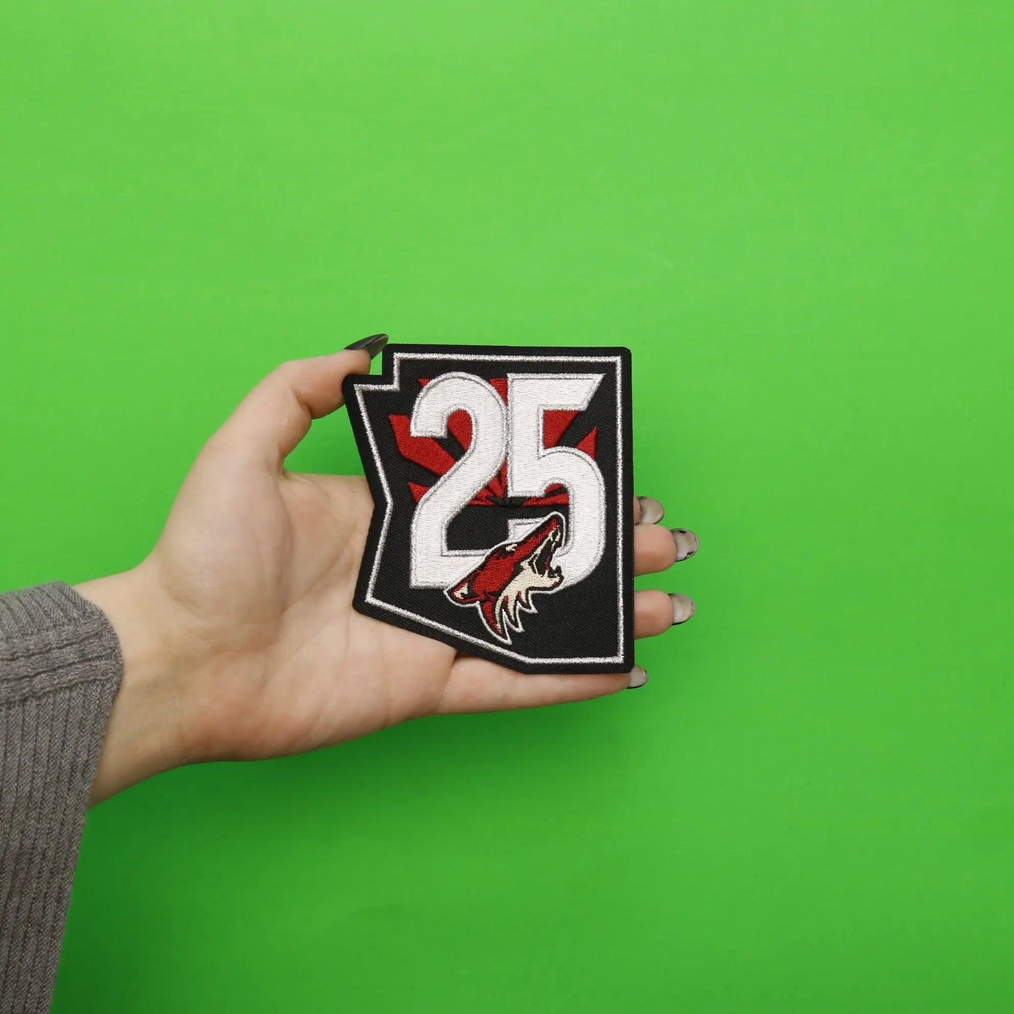 2021 Official Arizona Coyotes 25th Anniversary Jersey Patch