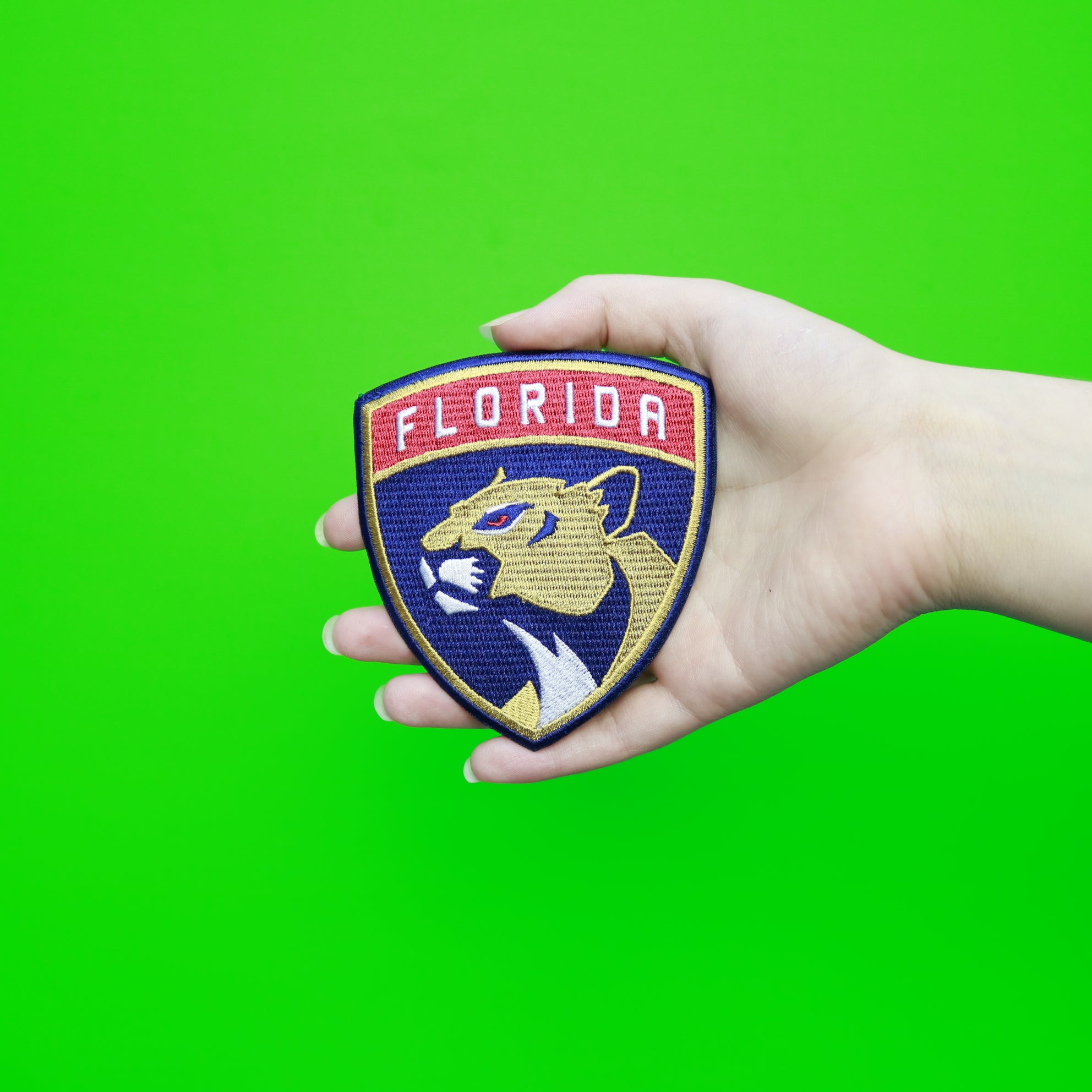 Florida Panthers Official Team Logo Patch