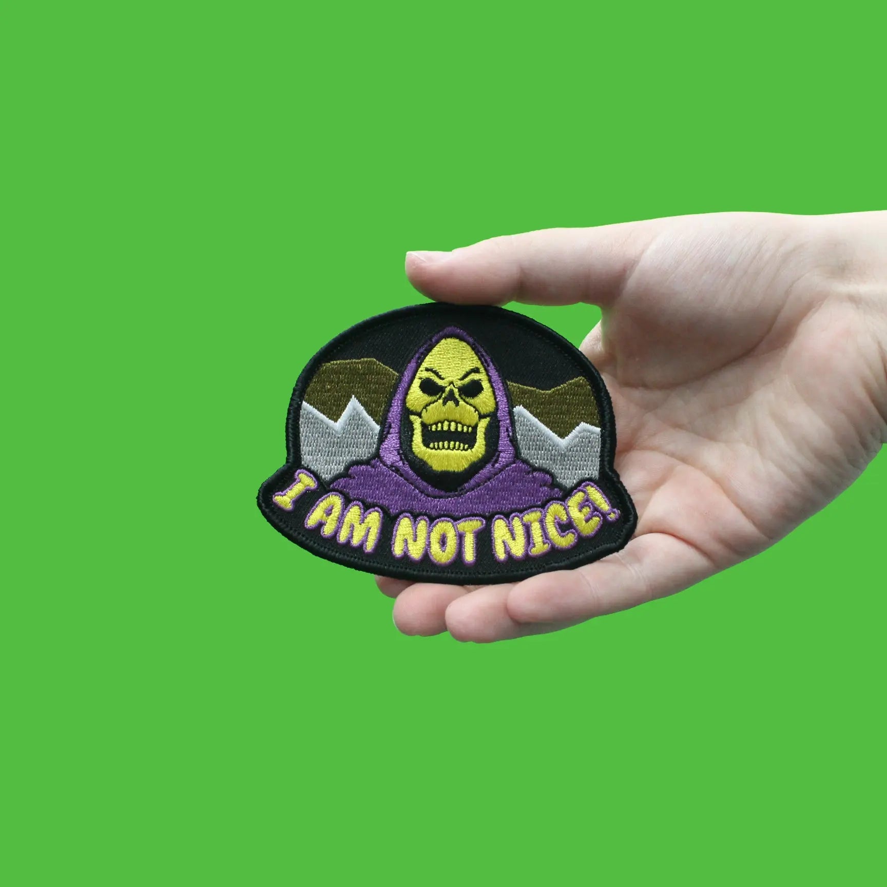 He-Man Masters Of The Universe Skeletor I Am Not Nice Embroidered Iron On Patch