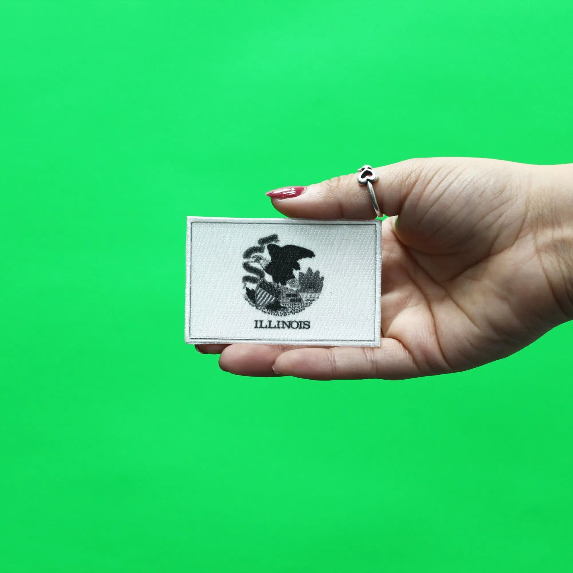 Illinois Patch Grayscale State Flag Embroidered Iron On