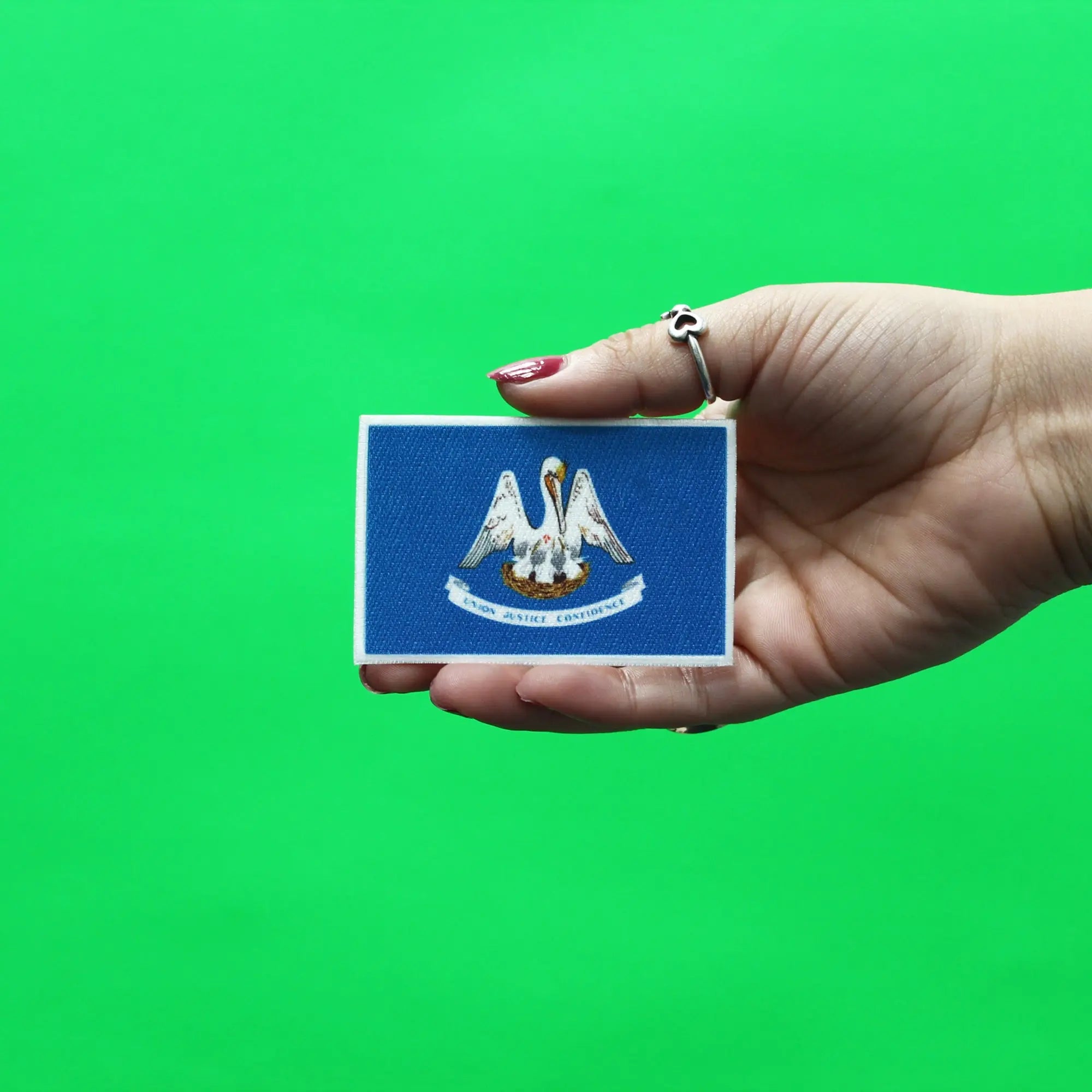 Louisiana Patch State Flag Embroidered Iron On