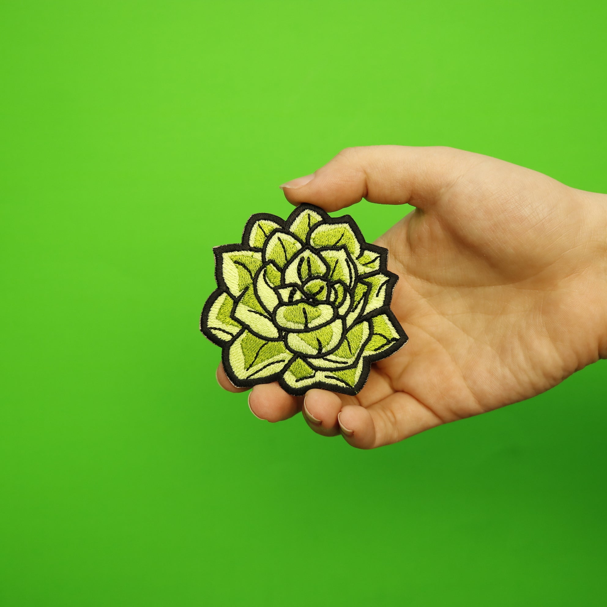 Succulent Embroidered Iron On Patch