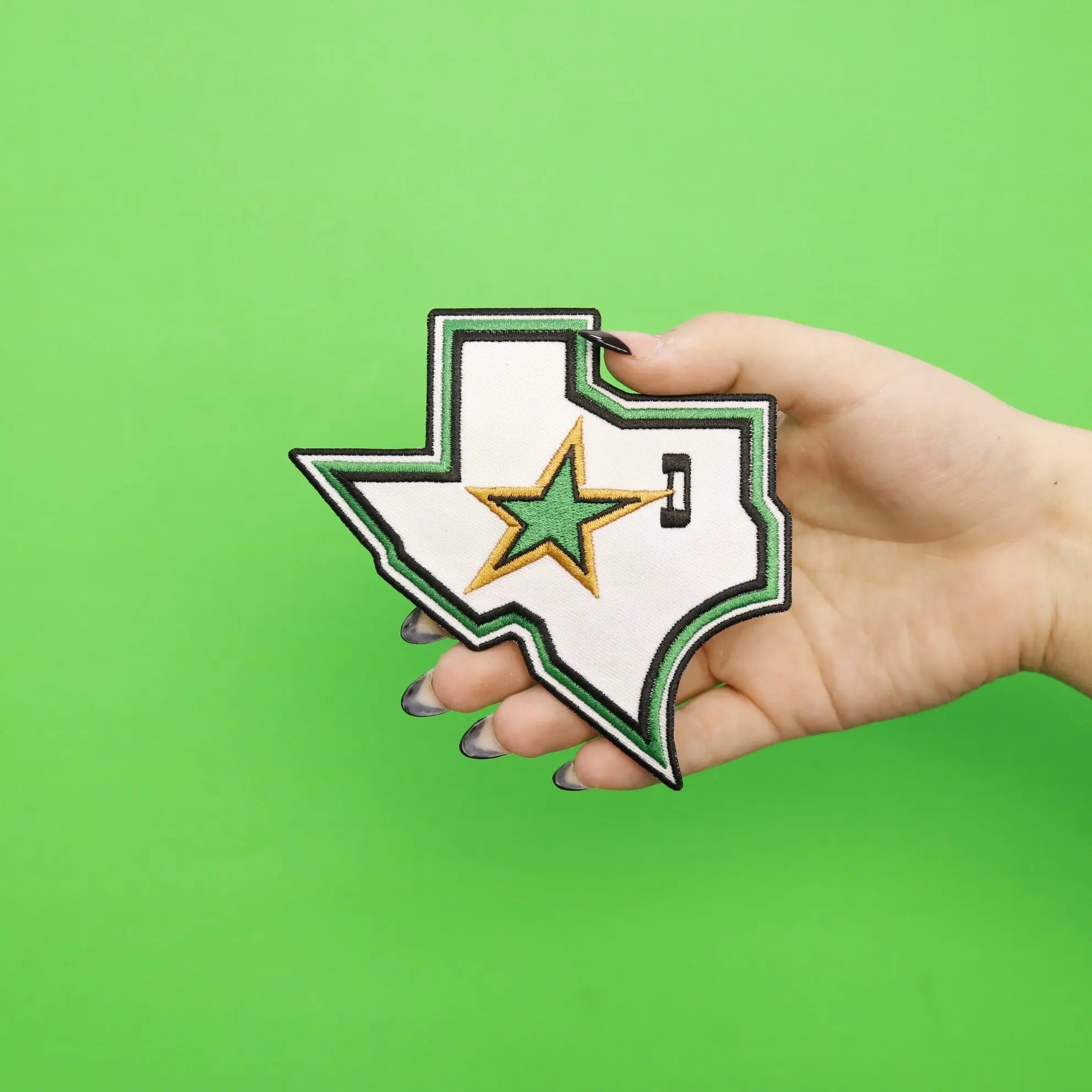 Dallas Texas Lone Star State Embroidered Iron On Patch