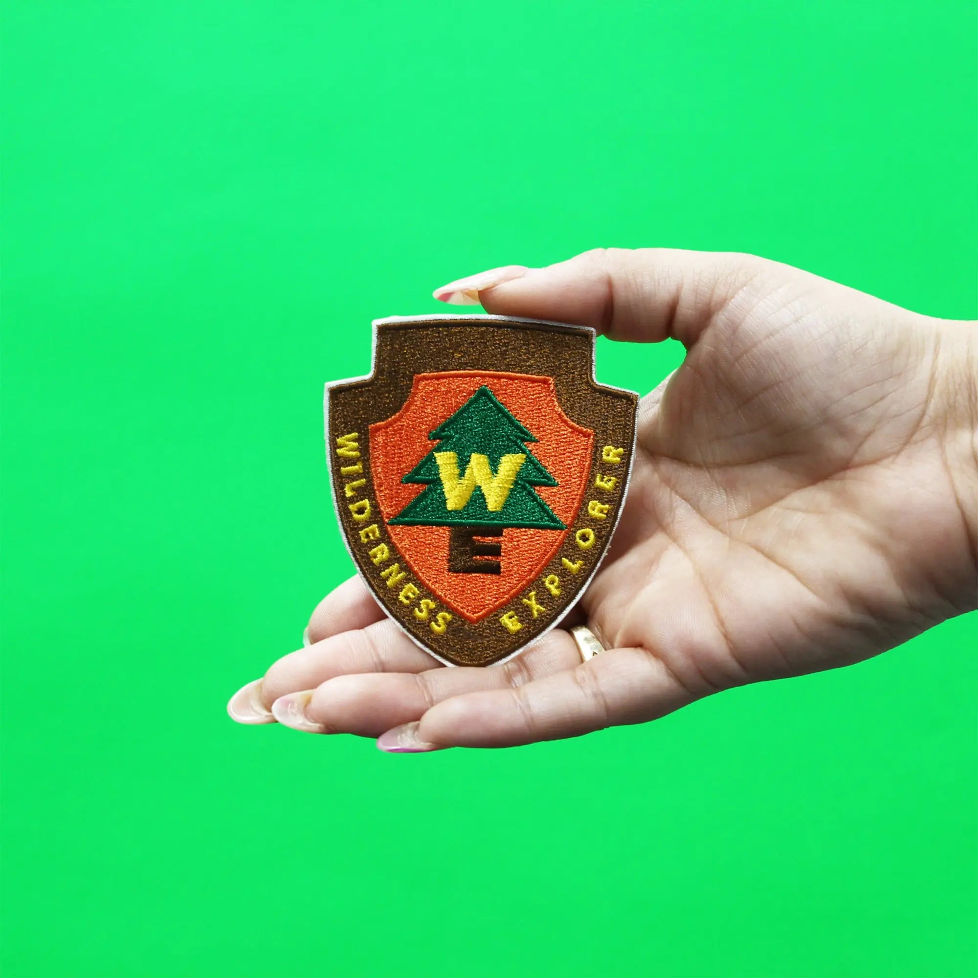 Disney Pixar Up Patch Senior Wilderness Explorer Embroidered Iron On