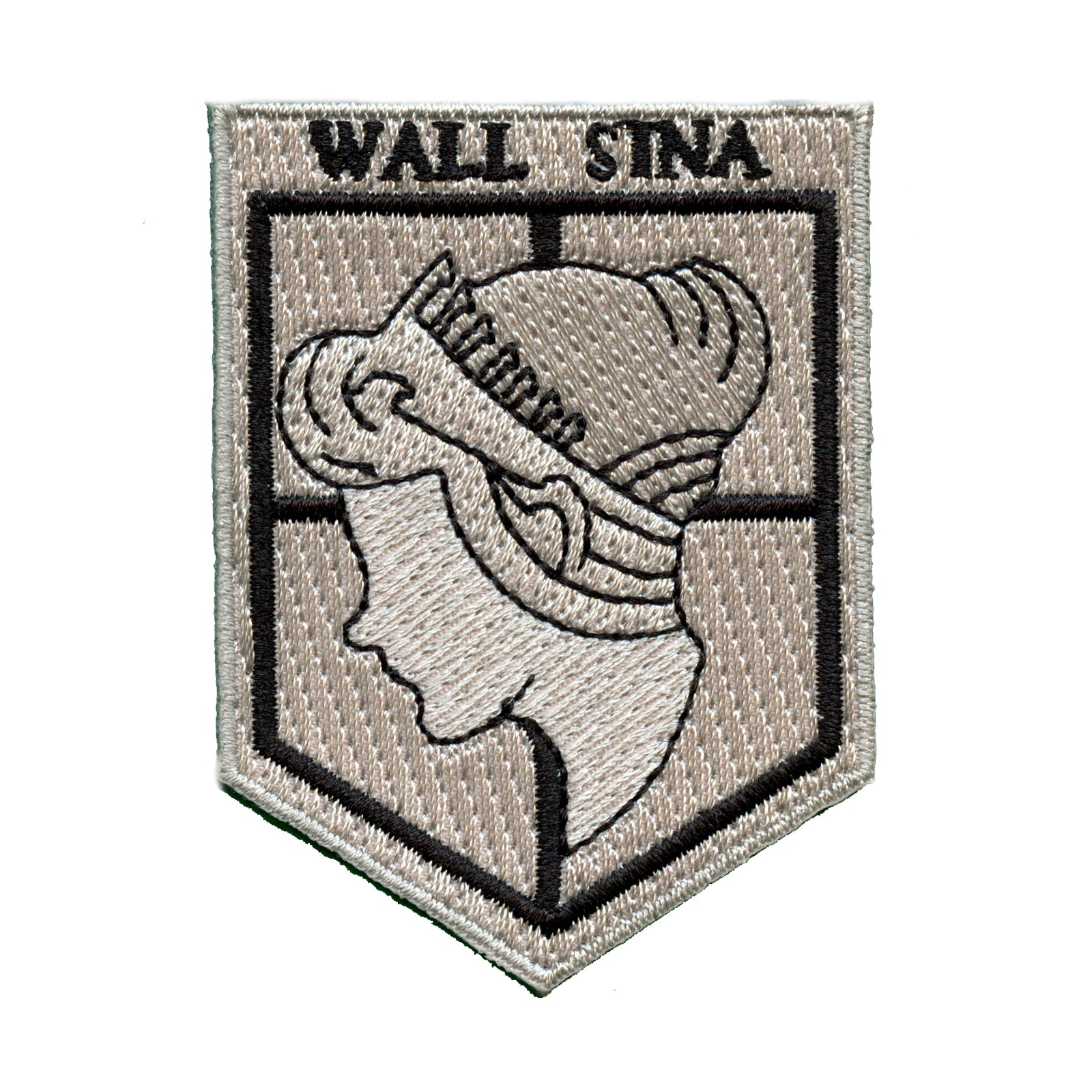 Attack On Titan Anime Wall Sina Embroidered Iron On Patch