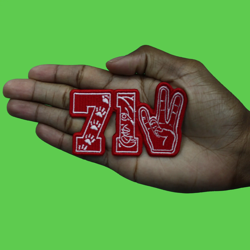 713 Houston College Patch Mascot Paw Hand Embroidered Iron on