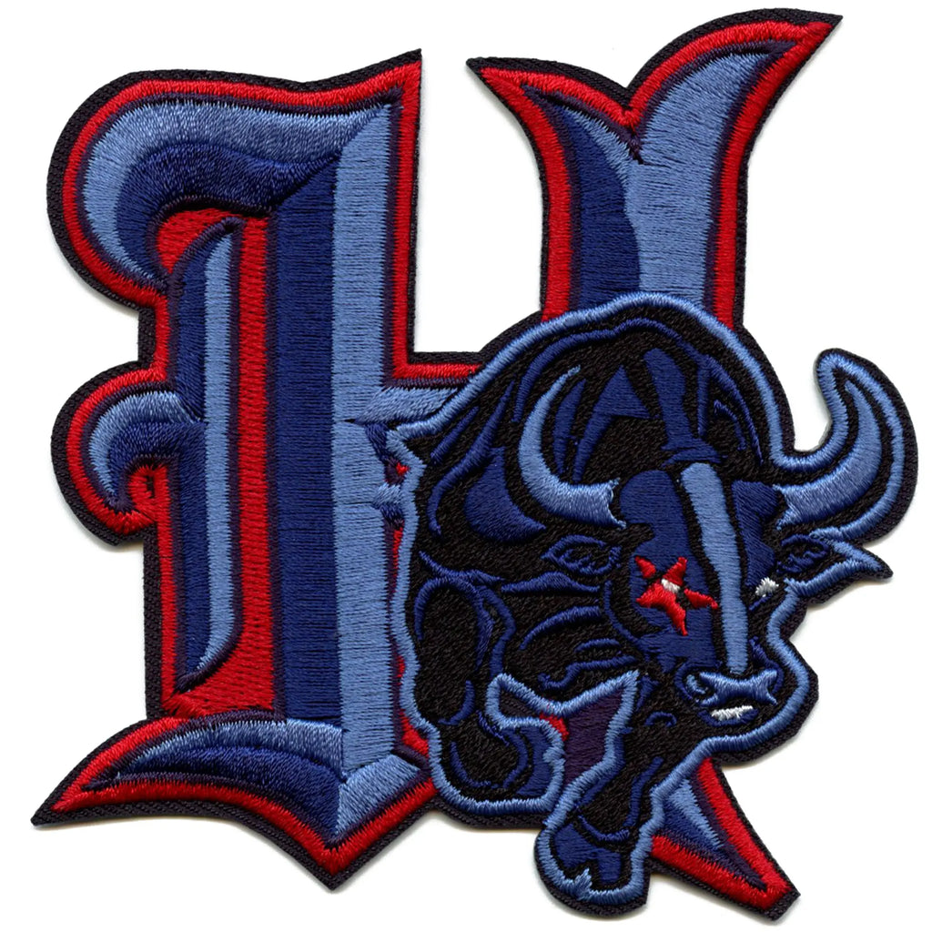 Patch parodique H Bull Sports Fan de football de Houston brodé à repasser