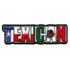Texican Slang Script Patch Hispanic Culture City Embroidered Iron On