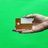 Texas Flag Patch College Football Parody Embroidered Iron On 